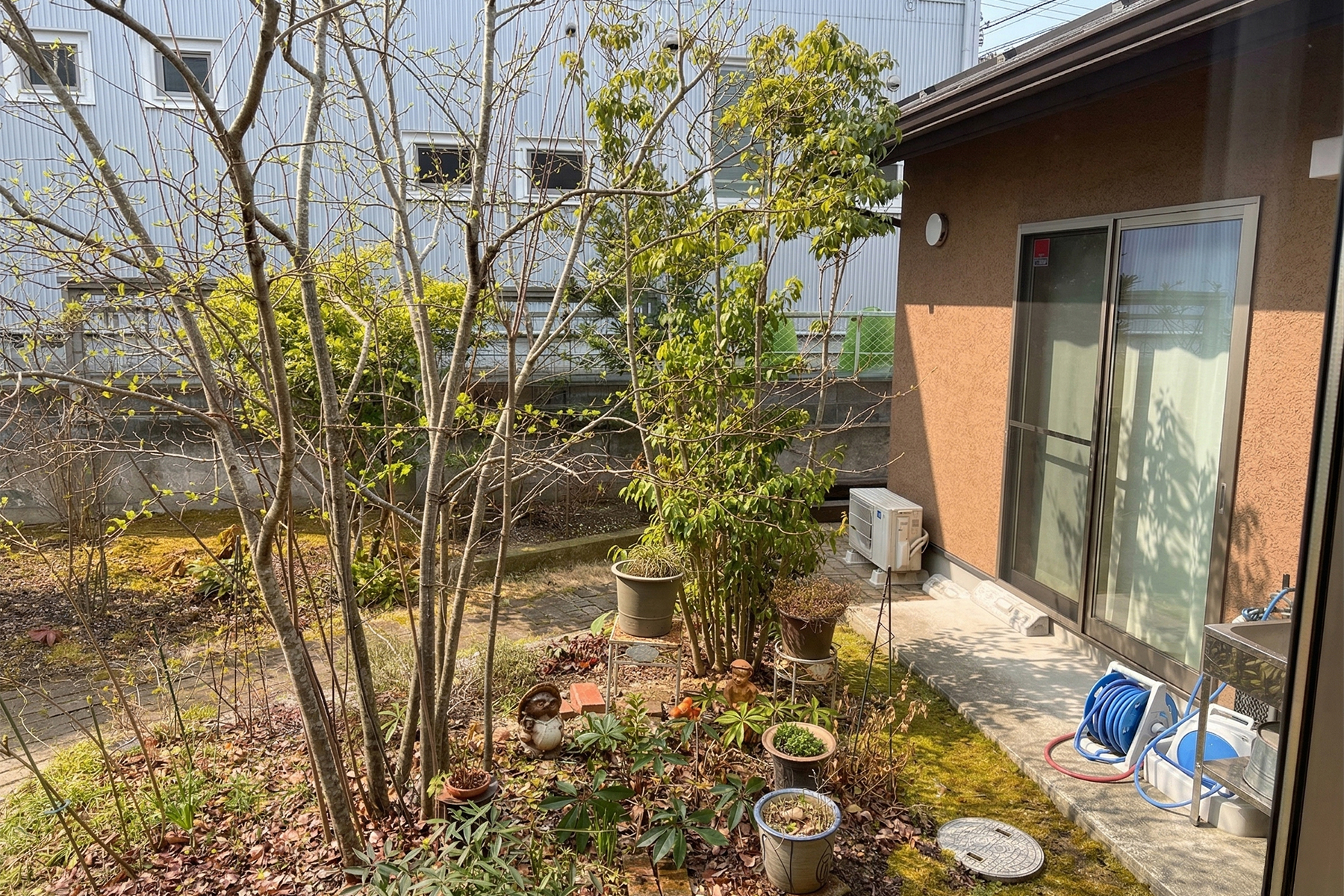 コスモス@ほ～む将監